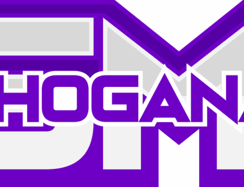 Shoganai secondo Tiski: Gestione del team